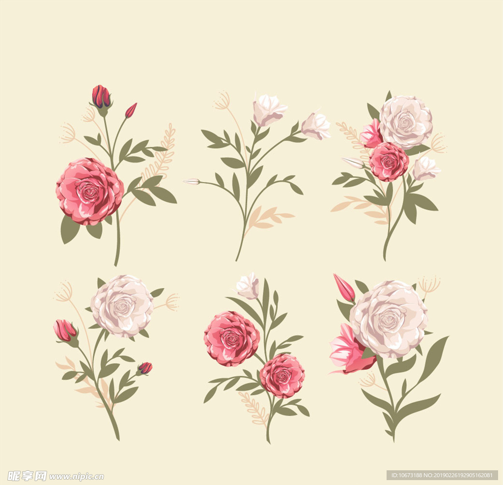 矢量玫瑰花