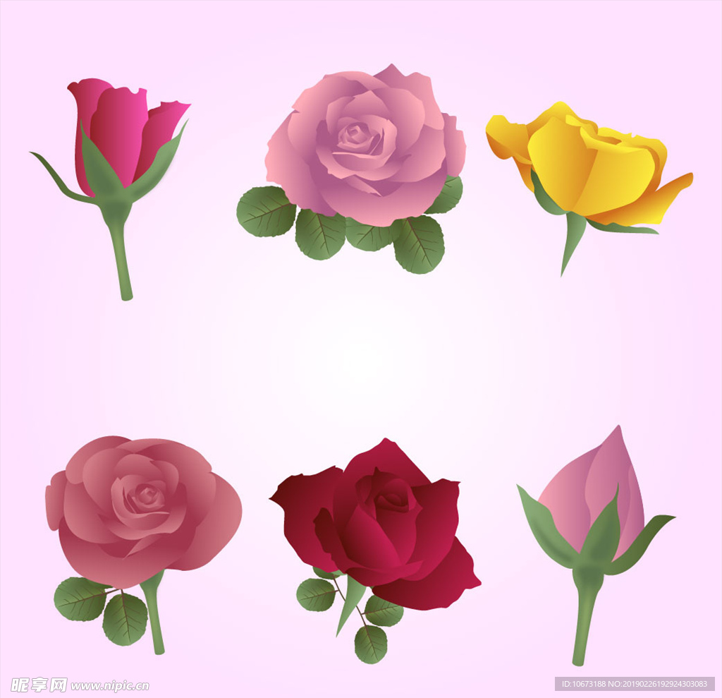 矢量玫瑰花