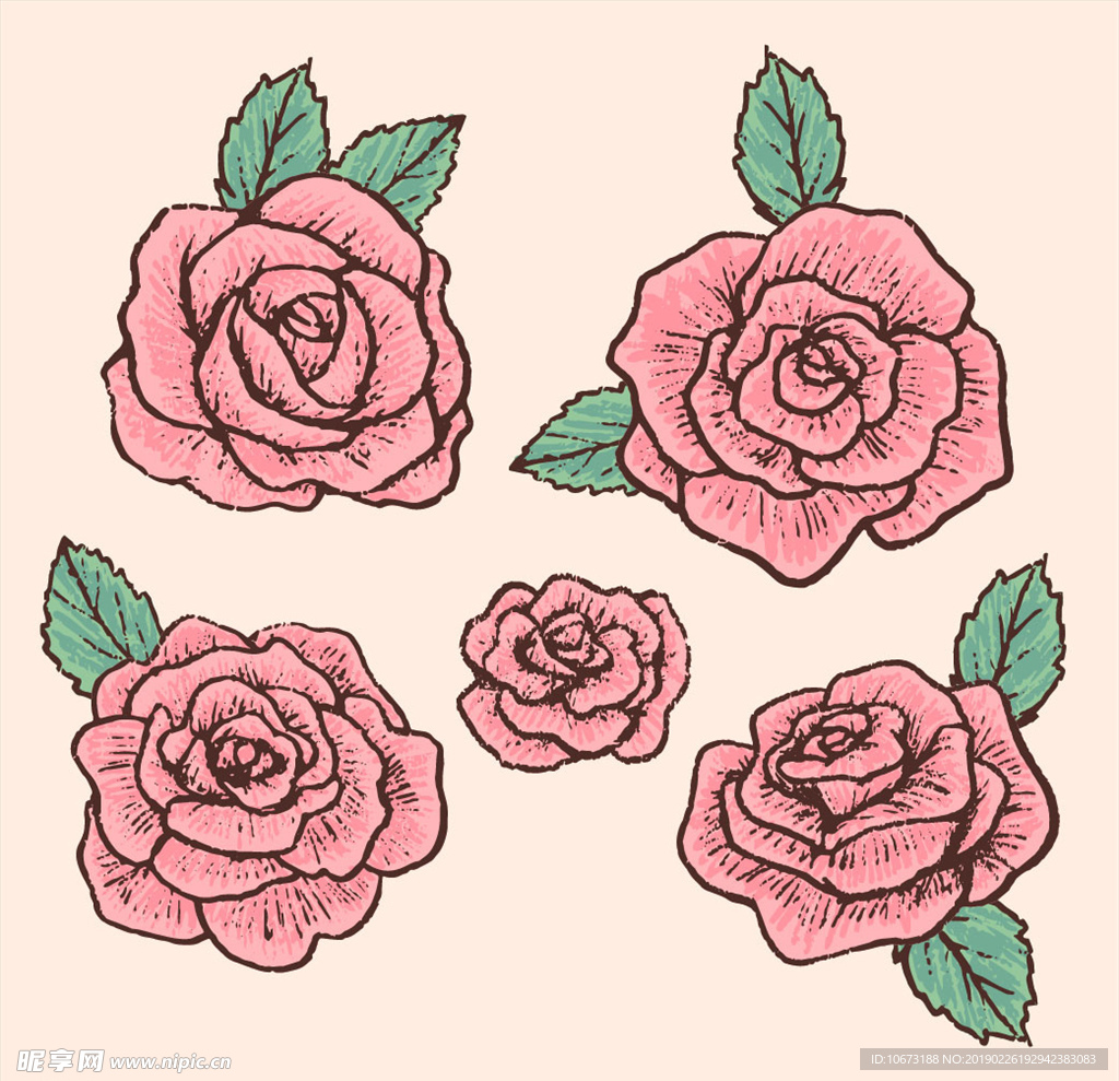 矢量玫瑰花
