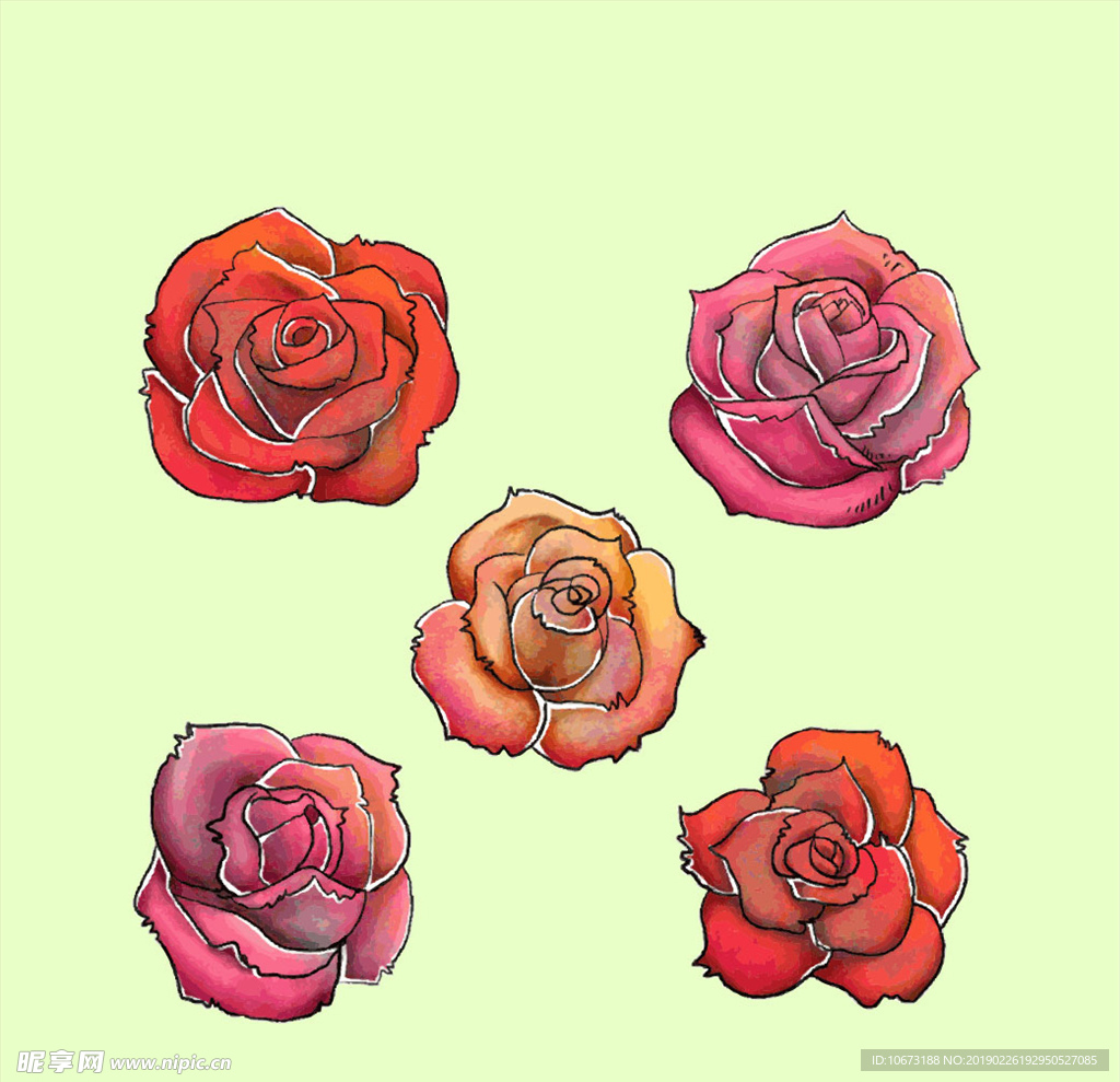 矢量玫瑰花