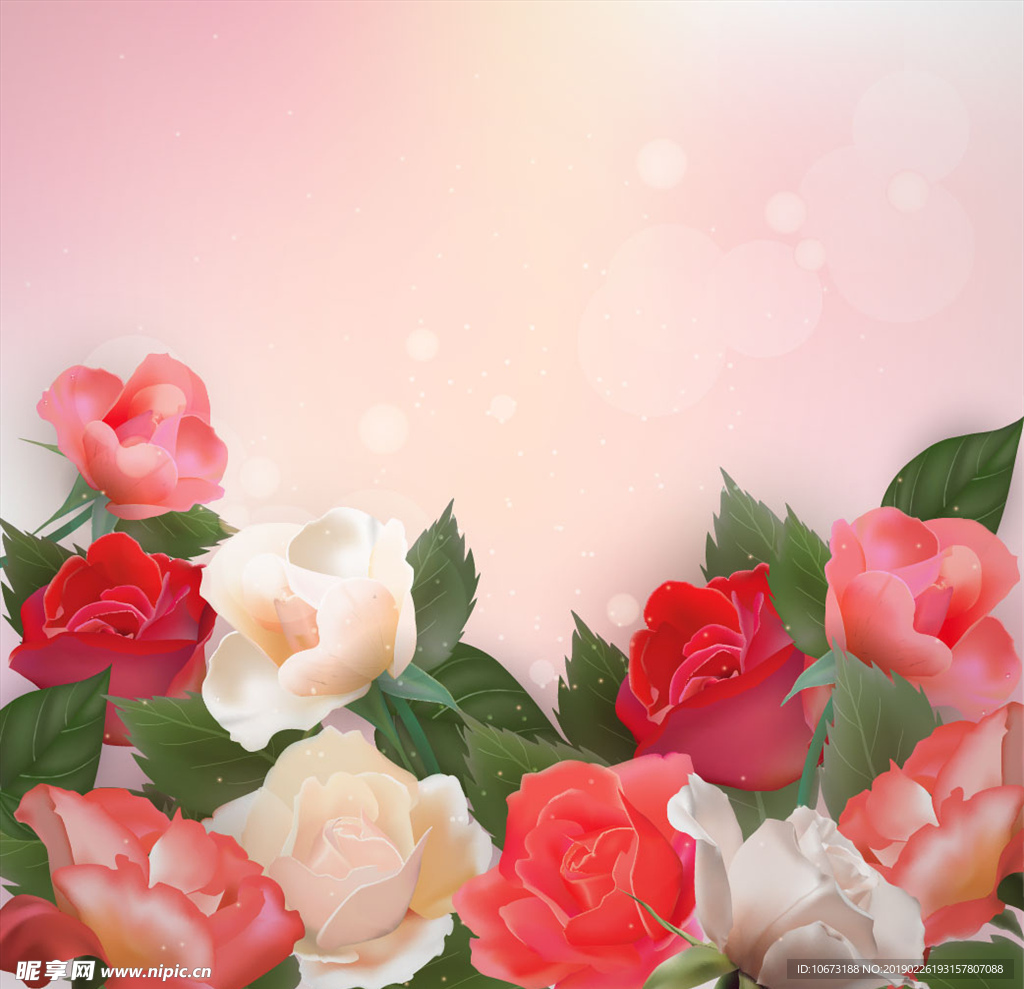 矢量玫瑰花