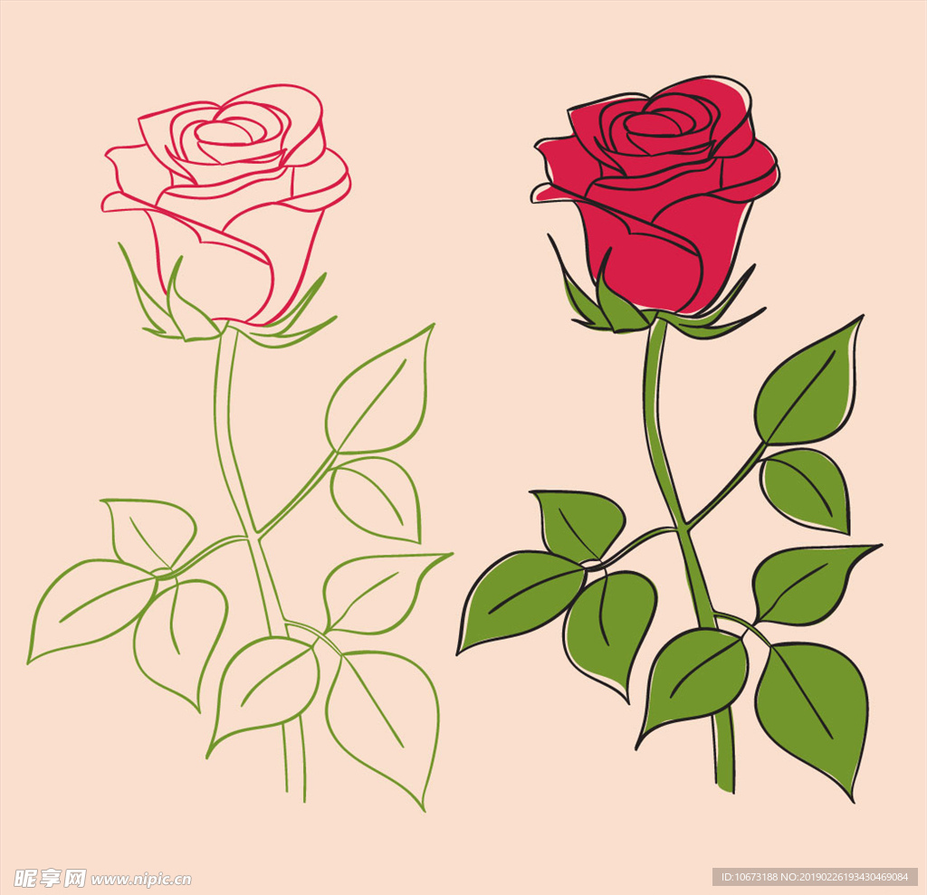 矢量玫瑰花