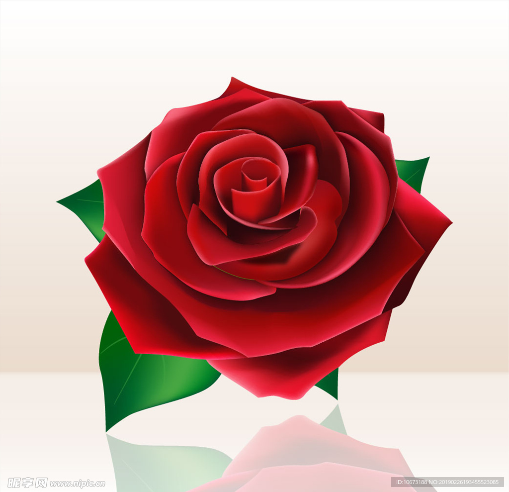 矢量玫瑰花