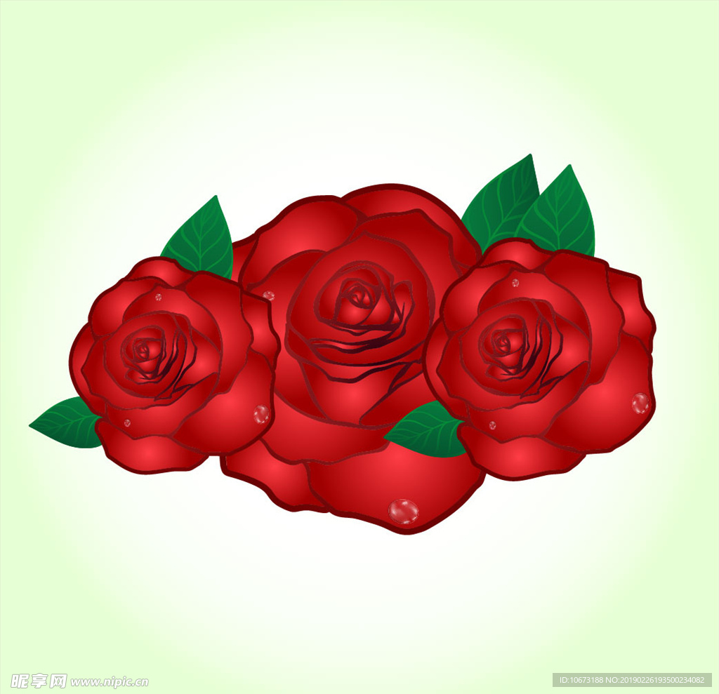 矢量玫瑰花