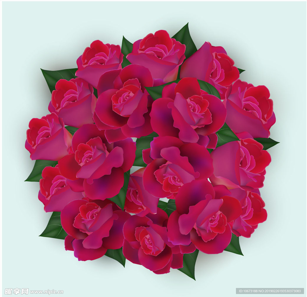 矢量玫瑰花