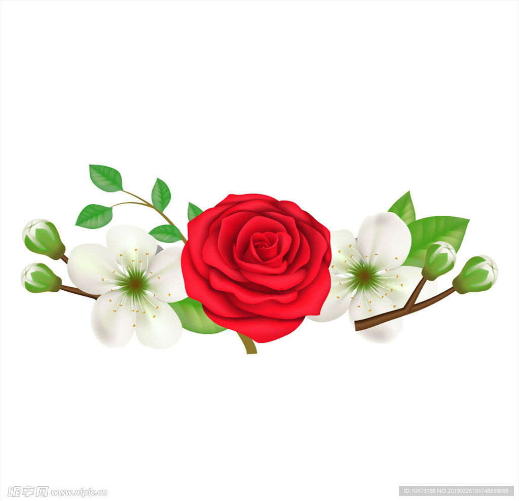 矢量玫瑰花