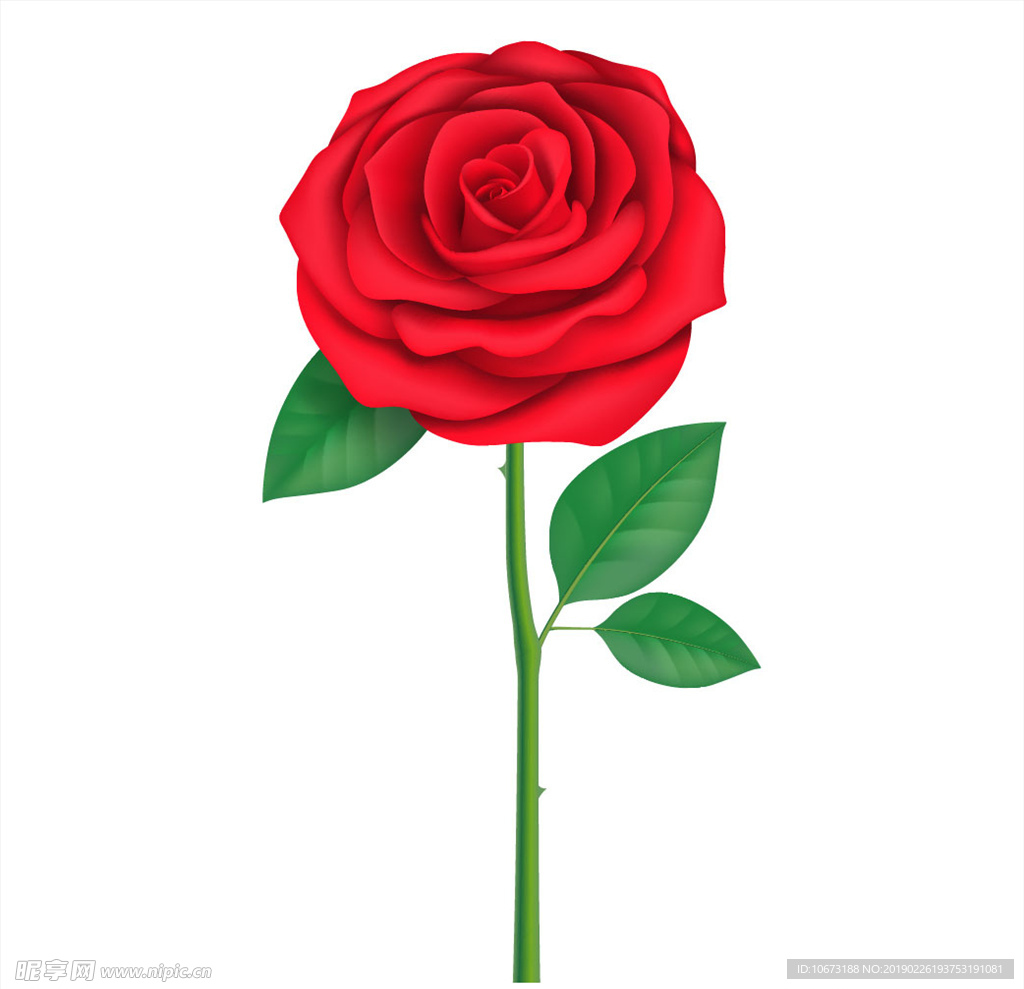 矢量玫瑰花