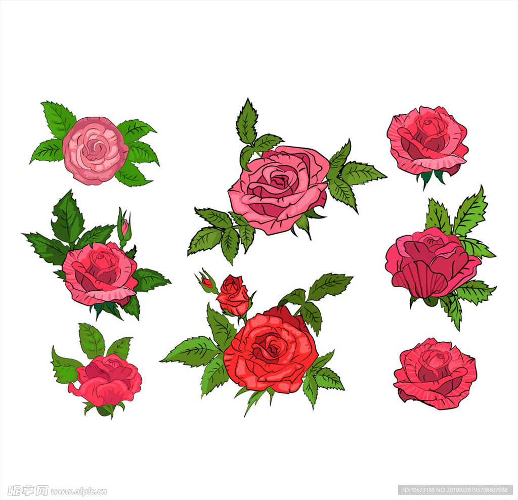 矢量玫瑰花