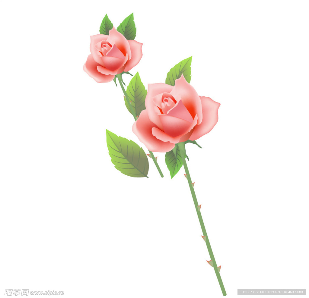 矢量玫瑰花