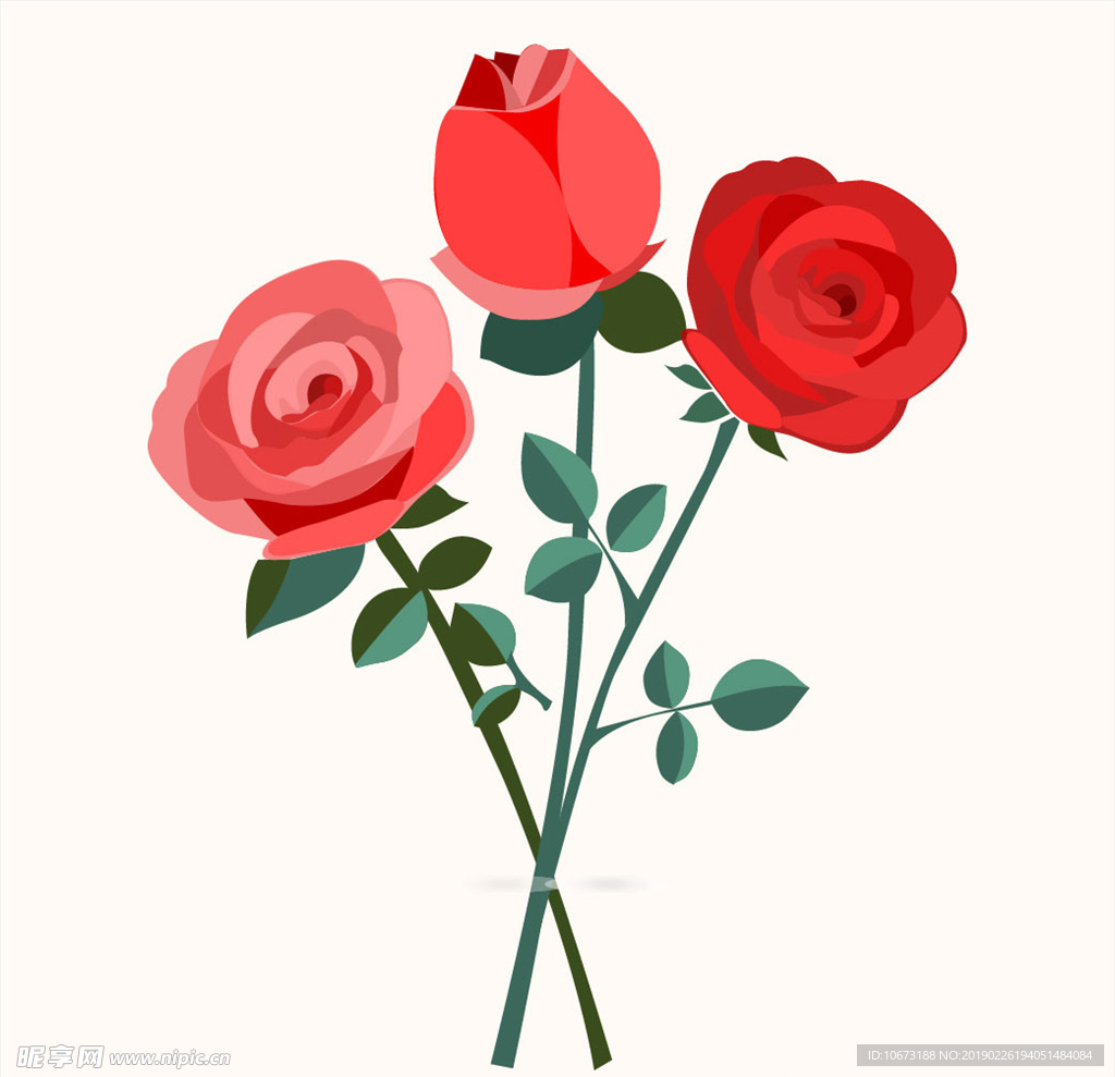 矢量玫瑰花