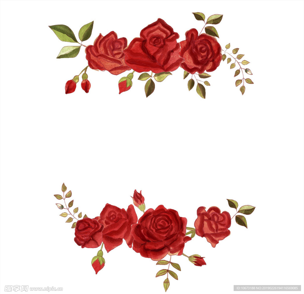 矢量玫瑰花