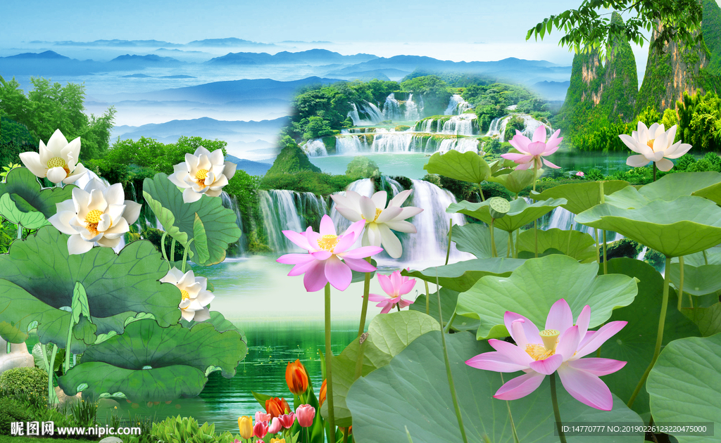 国画荷花