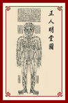 正人明堂图穴位图
