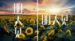 明天见  字体