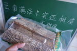 卡宾达树皮