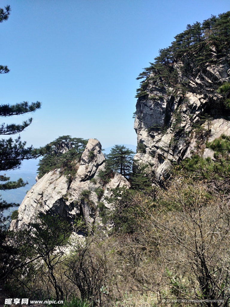 山
