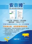 企业简介