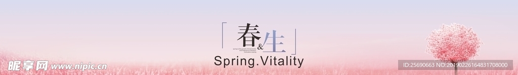 春天 春季 海报 樱花
