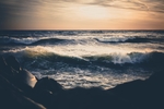 大海