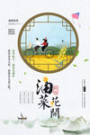 油菜花开