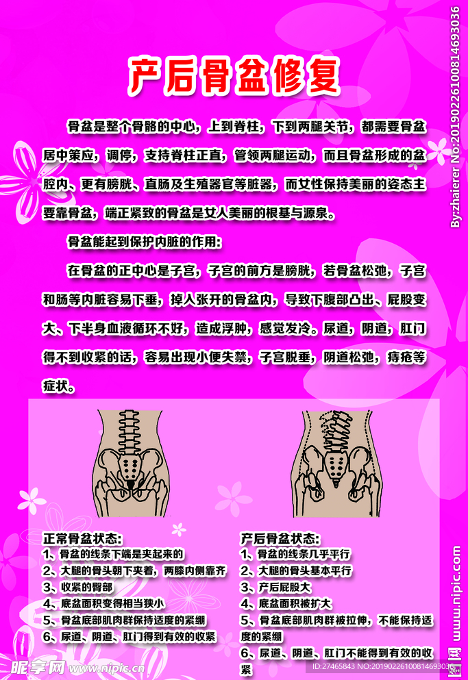 美容美体
