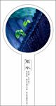 雨水