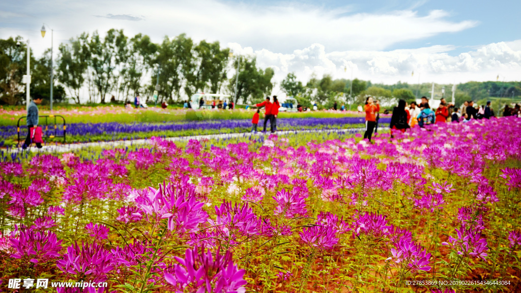 花景