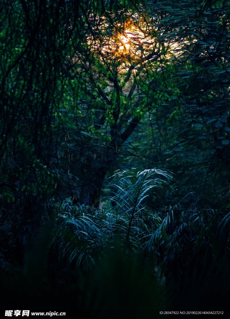 绿色背景