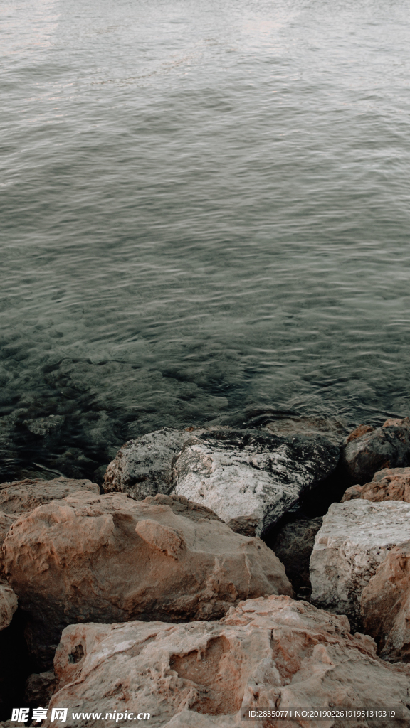 海岸