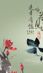 花鸟