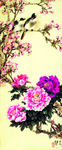 花鸟