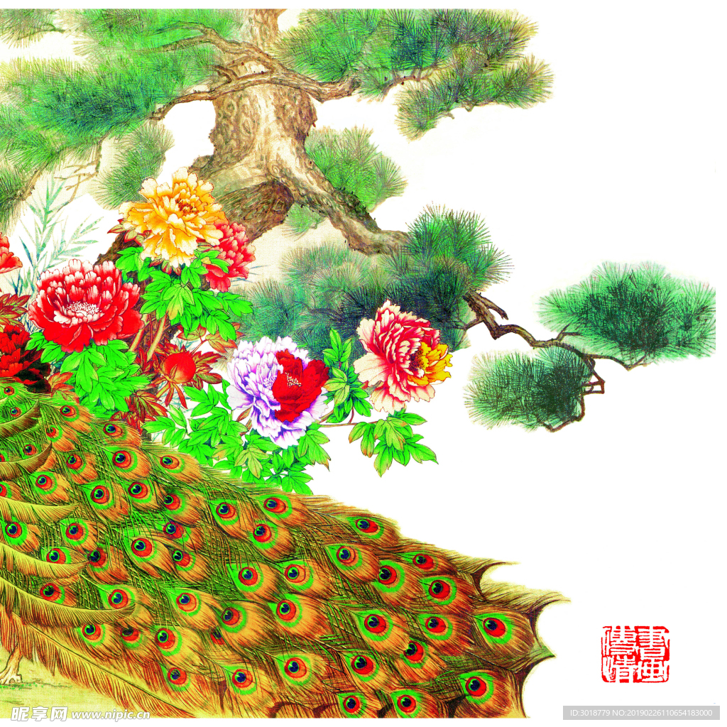 花鸟