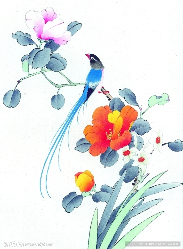 花鸟