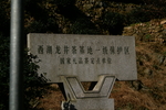 龙井茶基地