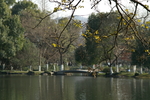杭州西湖
