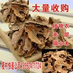 核桃夹层