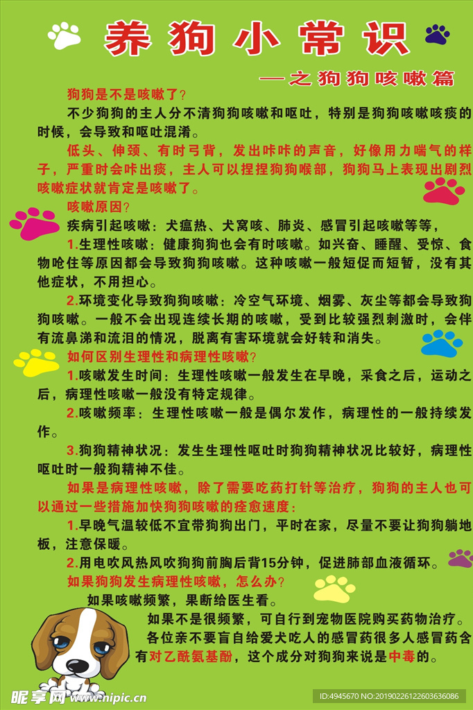 宠物海报