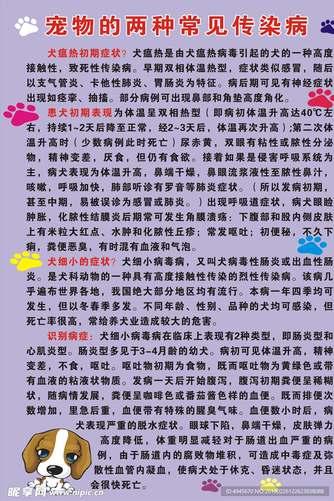狗狗海报