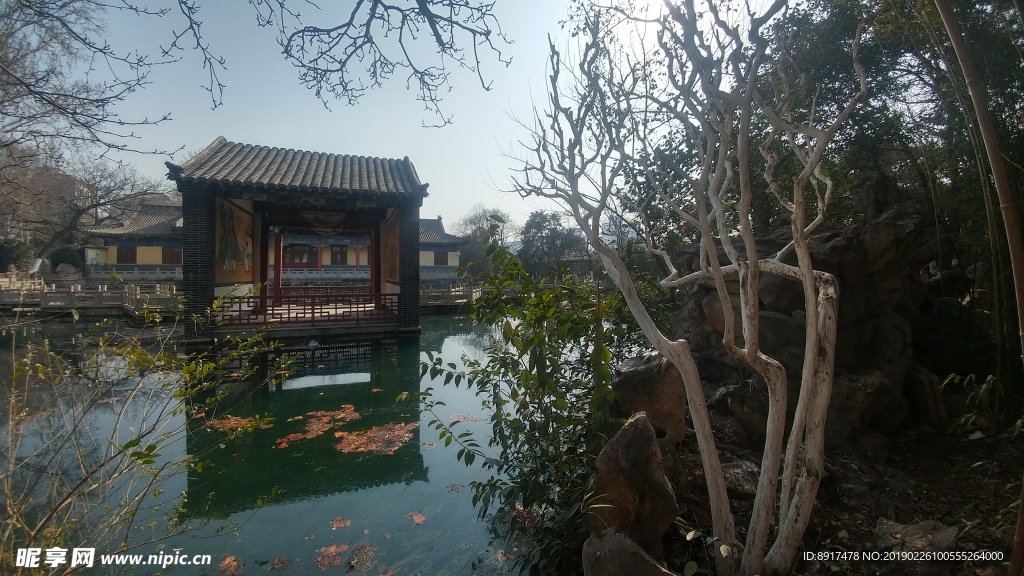 河面