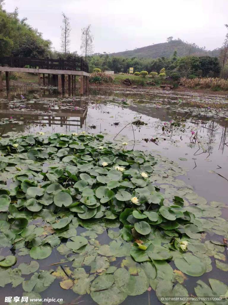 户外风光