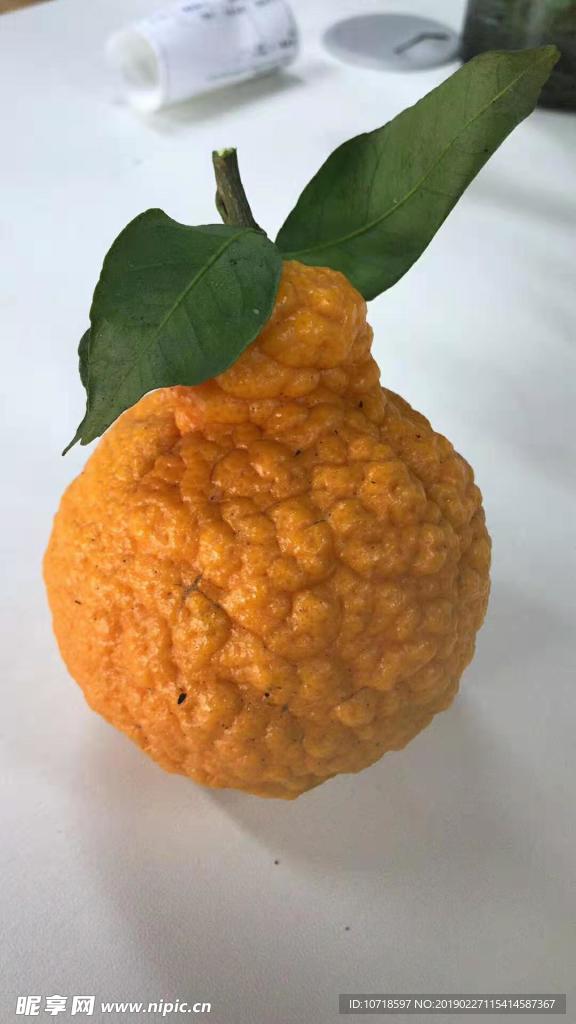 橙子