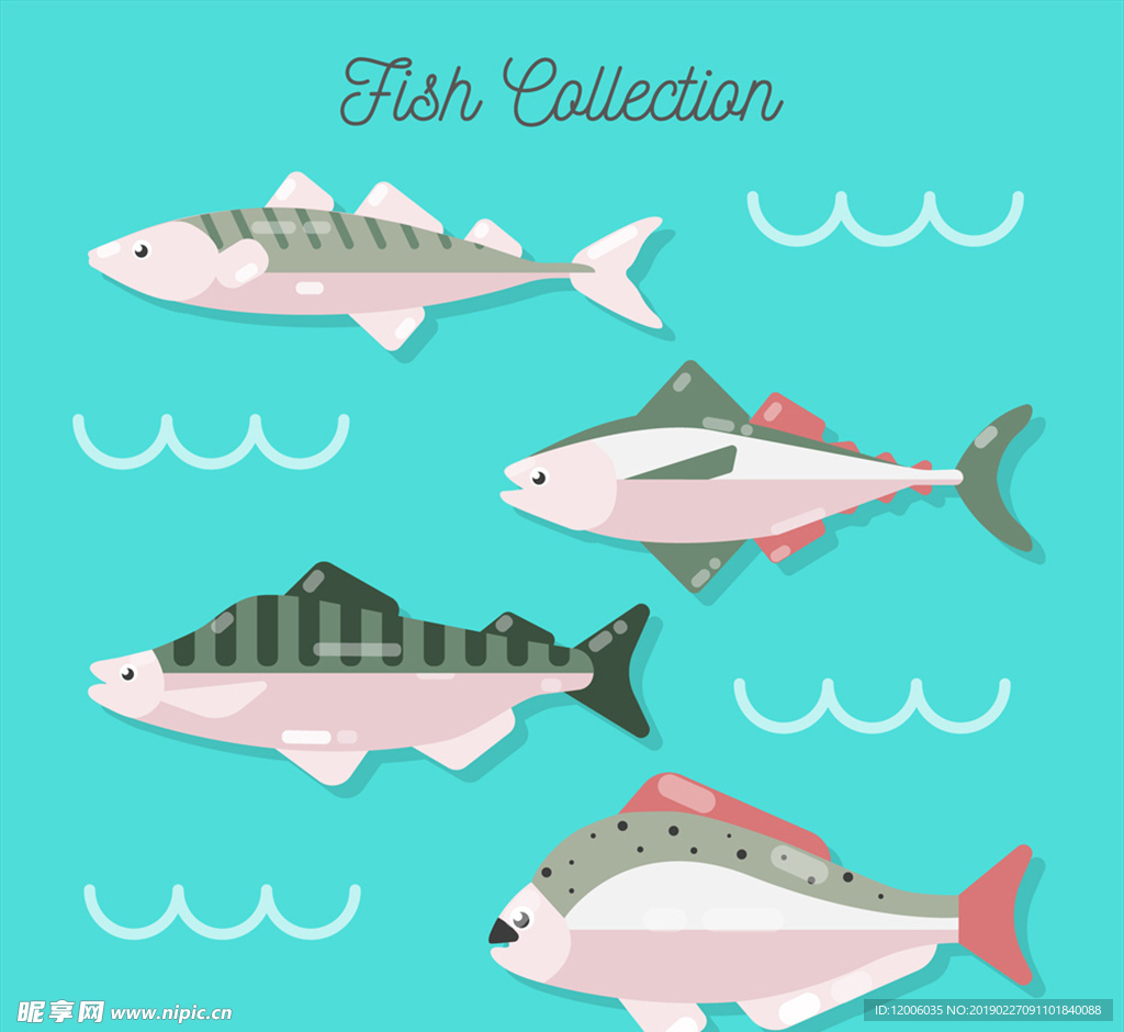4款质感鱼类侧面设计矢量图