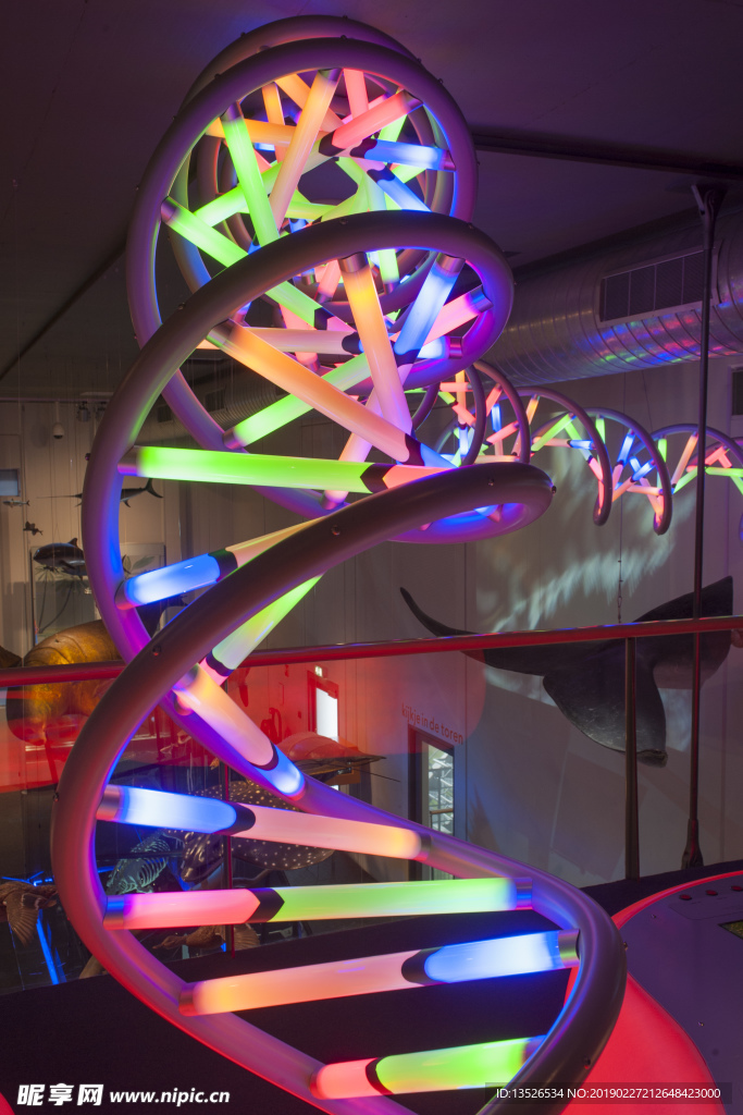 DNA 螺旋状 灯光