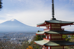 塔