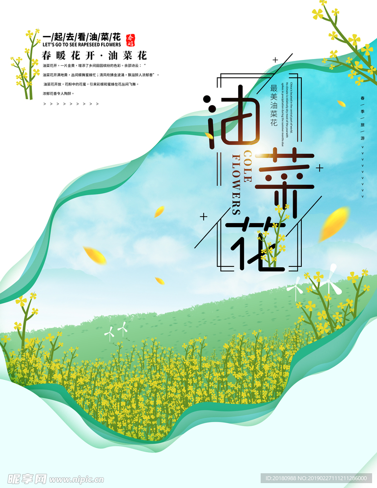油菜花海报