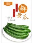 黄瓜海报