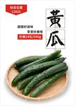 黄瓜海报
