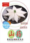 山药海报