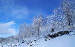 东北雪乡