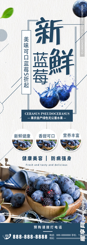蓝莓